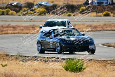 media/Nov-16-2024-Extreme Speed (Sat) [[6587d07cc4]]/Gold Group/Session 2 (Turns 3 and 5)/